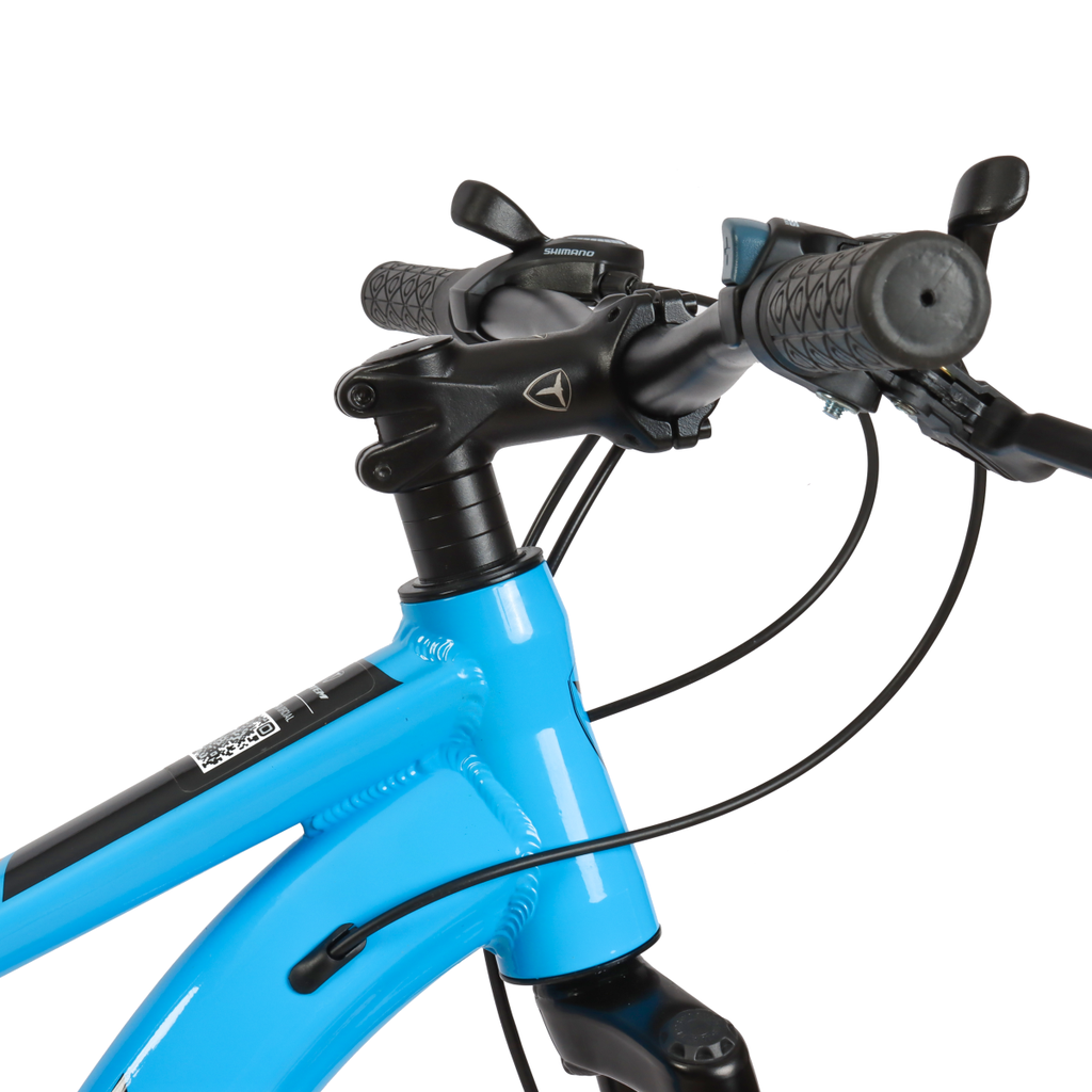 1006523 (5).png