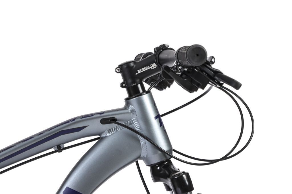 BICICLETA MTB THOR R29 24V ALUMINIO GRIS/VIOLETA/NEGRO TALLE M