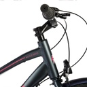 BIC URBANA ACCENTO ALUM HOMBRE 700C NEXUS 3VEL. GRIS/ROSA