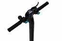 MONOPATIN ELECTRICO TOPMEGA 7.5Ah 350W DISPLAY/LED/PLEG
