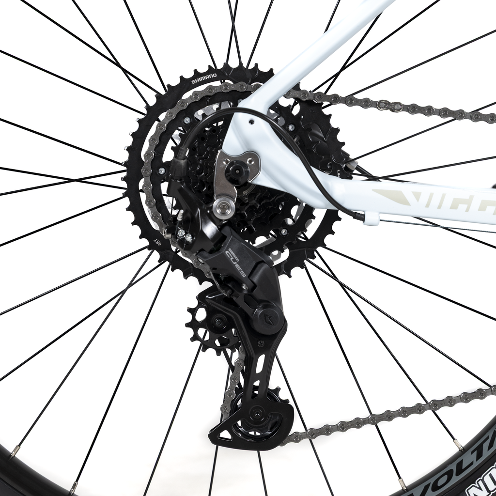 1009984 (6).png