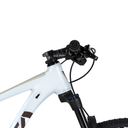 1009985 (5).png