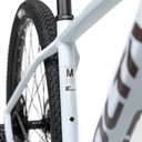 1009985 (8).png