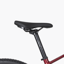 1009988 (4).png