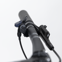 1009989 (7).png