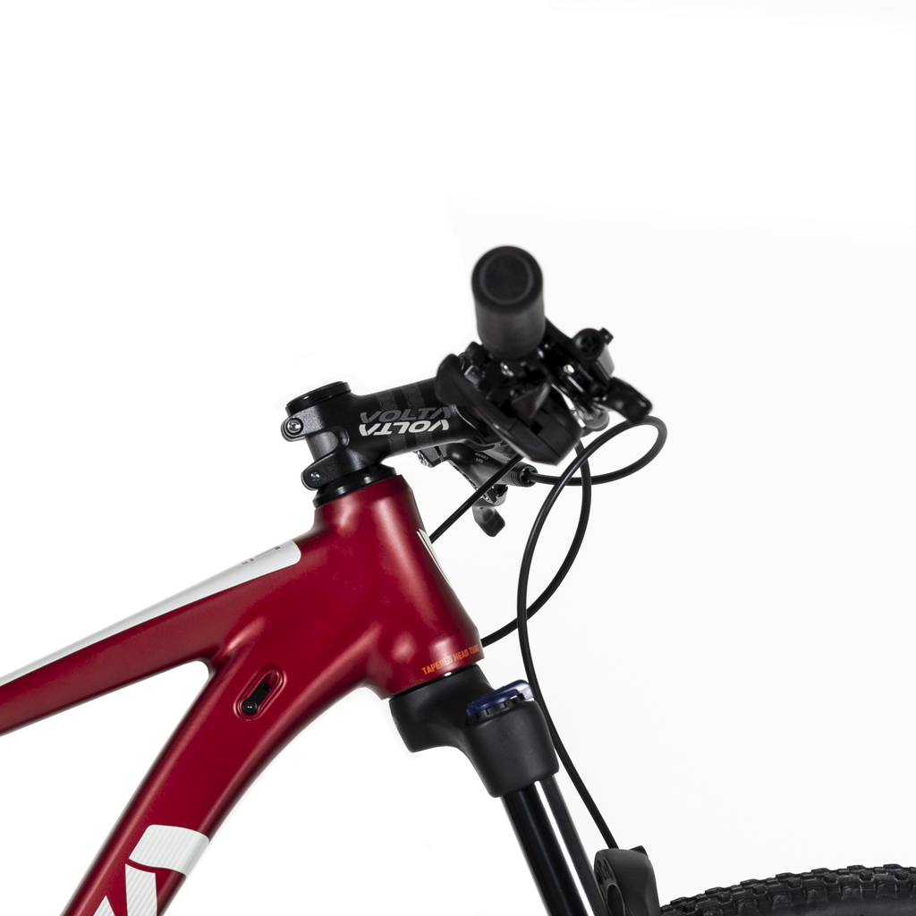 1009990 (3).png