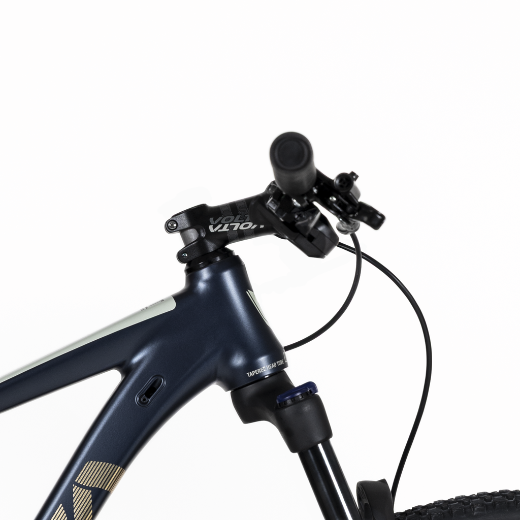 1009994 (4).png