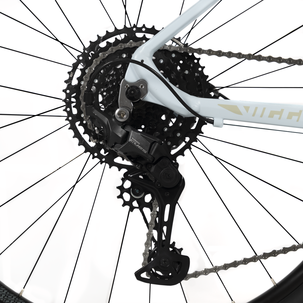 1009996 (2).png