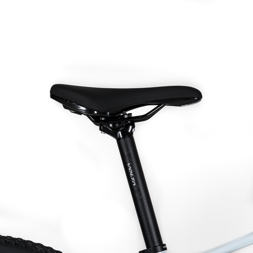 1009996 (5).png
