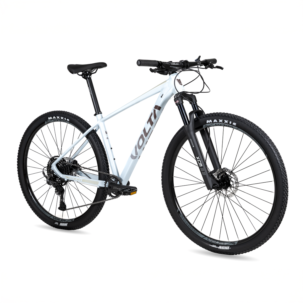 1009997 (4).png
