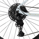 1009998 (12).png