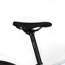 1009998 (5).png