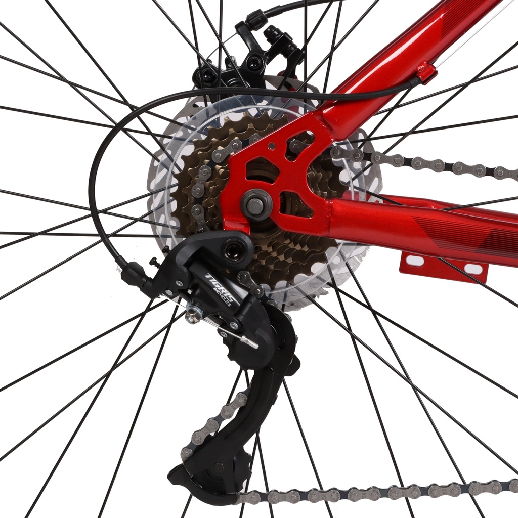 1016062 (9).jpg